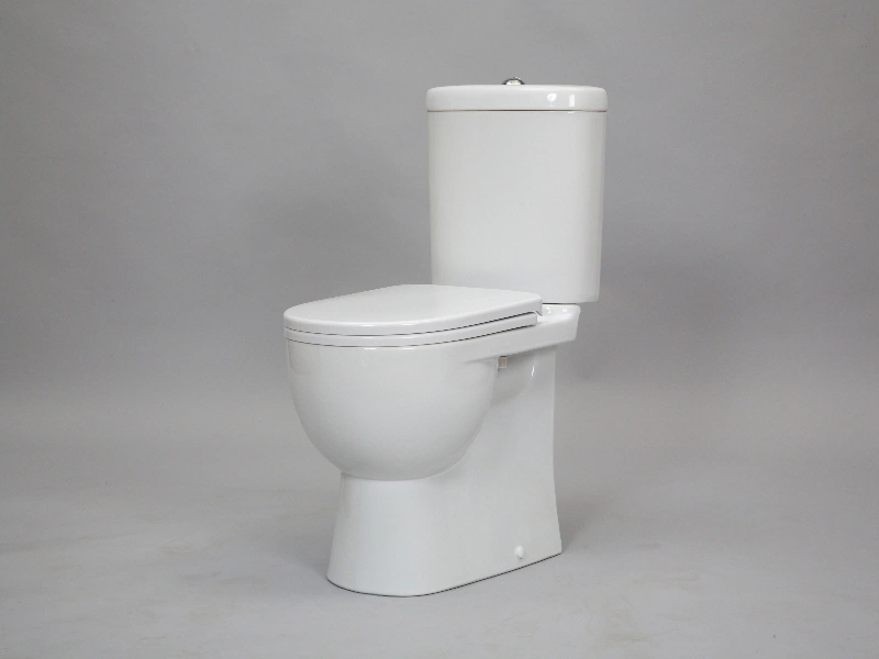 Унитаз-компакт Sanita Luxe Art Basic белый WC.CC/Art/2-P/WHT.G/S1