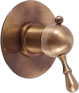 Смеситель для душа скрытого монтажа Rav Slezak Labe бронза L083LSM, 1