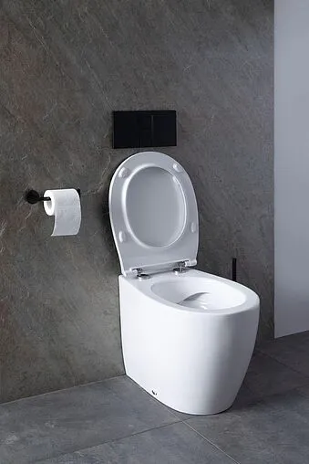 Унитаз приставной безободковый Allen Brau Fantasy белый 4.11007.20