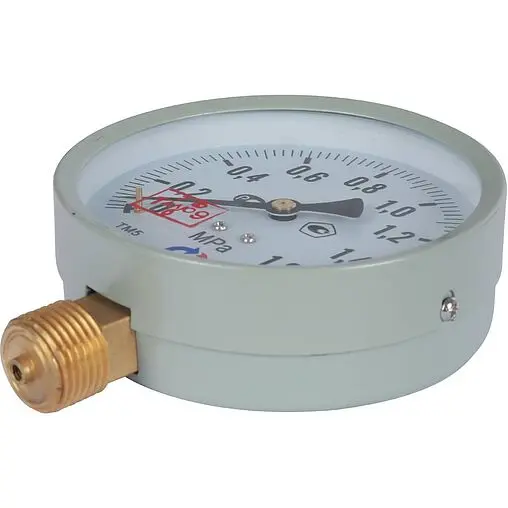 Манометр радиальный Росма ТМ-510Р.00 100мм 6 бар ½&quot; 00000006817