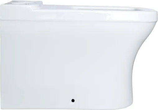 Чаша унитаза Allen Brau Infinity белый 4.21012.20