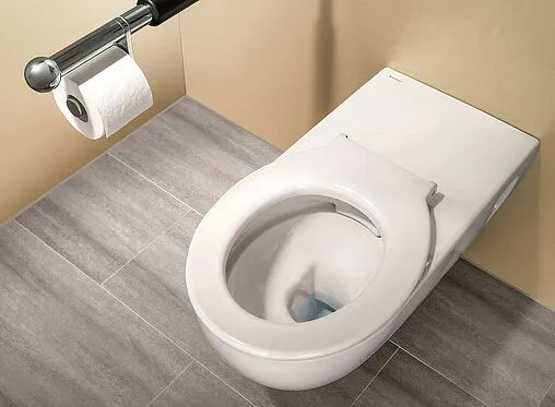 Унитаз подвесной безободковый Geberit Selnova Rimfree белый 500.262.01.1 Унитаз подвесной безободковый Geberit Selnova Rimfree белый 500.262.01.1