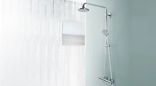 Лейка ручного душа Grohe Euphoria 110 II хром 27220000