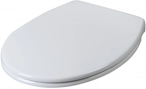 Крышка-сиденье для унитаза с микролифтом Am.Pm Bliss белый C557851WH