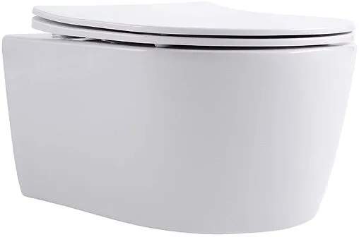 Унитаз подвесной безободковый Aquatek Европа New белый AQ1106L-00