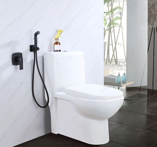 Гигиенический душ со смесителем Lemark Ursus чёрный матовый LM7219BL