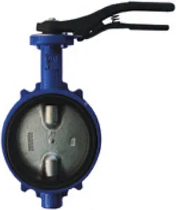 Затвор дисковый поворотный межфланцевый Ду80 Ру16 Giacomini R59WY008 Затвор дисковый поворотный межфланцевый Ду80 Ру16 Giacomini R59WY008, 1