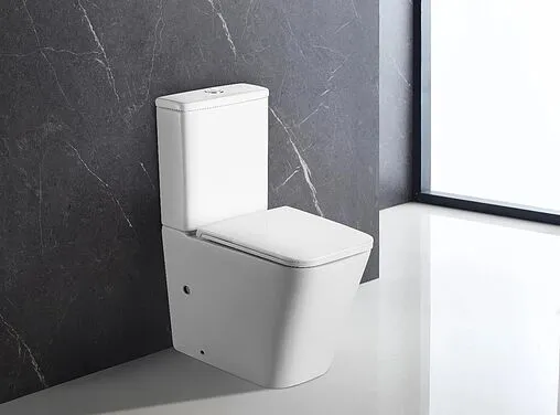 Унитаз-компакт безободковый Terminus Ватикан белый 12F61x36W