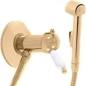 Гигиенический душ со смесителем Rav Slezak Labe золото/белый L547/1Z, 1