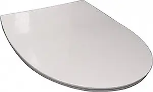 Крышка-сиденье для унитаза с микролифтом Roca Victoria Nord белый ZRU9302919 Крышка-сиденье для унитаза с микролифтом Roca Victoria Nord белый ZRU9302919, 1