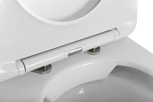 Унитаз приставной безободковый BelBagno Flay-R белый BB1003CBR/SC