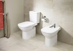 Биде напольное Roca Debba белый 357994000 Биде напольное Roca Debba белый 357994000, 3