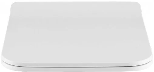 Крышка-сиденье для унитаза с микролифтом Allen Brau Liberty белый матовый 4.33008.21
