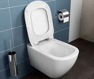 Комплект 5 в 1 Ideal Standard Tesi AquaBlade R029901 с кнопкой Oleas M1 SmartFlush R0117AA хром глянцевый, 5