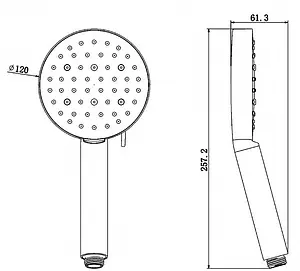 Лейка ручного душа Swedbe Hermes чёрный матовый 5118B Лейка ручного душа Swedbe Hermes чёрный матовый 5118B, 2