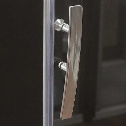 Дверь в нишу 1600мм прозрачное стекло Roltechnik Proxima Line PXD2N/1600 526-1600000-00-02