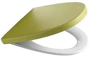 Крышка-сиденье для унитаза с микролифтом Roca Khroma зеленый 801652F0T Крышка-сиденье для унитаза с микролифтом Roca Khroma зеленый 801652F0T, 1