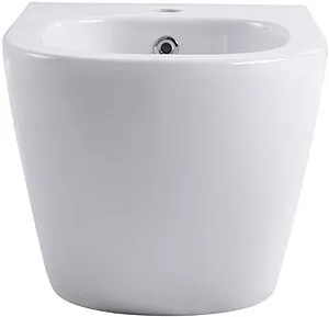 Биде подвесное Aquatek Европа белый AQ1016-00, 3