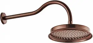 Лейка верхнего душа с настенным креплением Swedbe Terracotta Art терракотовый 2519, 1