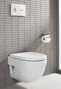 Клавиша смыва для унитаза Roca PL-6 890085005 кнопки/хром матовый, панель/белый глянцевый Клавиша смыва для унитаза Roca PL-6 890085005 кнопки/хром матовый, панель/белый глянцевый, 3