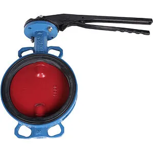 Затвор дисковый поворотный межфланцевый Ду300 Ру16 Tecofi VPI4448-02EP0300 Затвор дисковый поворотный межфланцевый Ду300 Ру16 Tecofi VPI4448-02EP0300, 1