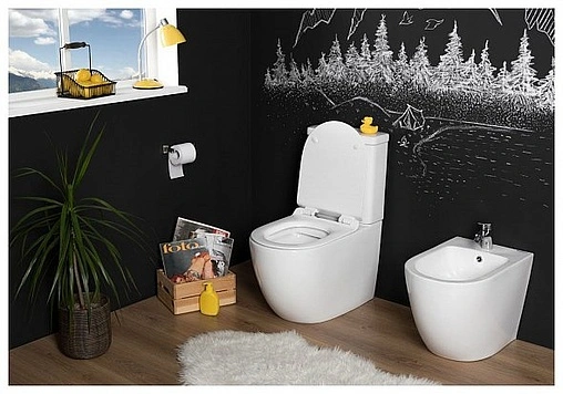 Унитаз-компакт безободковый Aquanet Cetus Rimless белый CETUS-C1+CETUS-C2