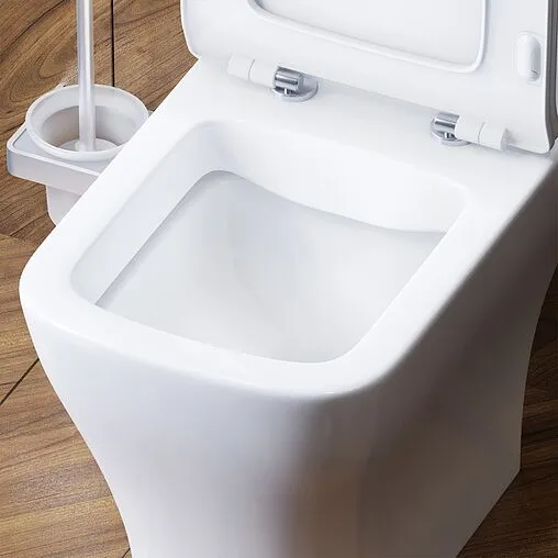 Унитаз-компакт безободковый Damixa Titan белый DX78C8600SC Унитаз-компакт безободковый Damixa Titan белый DX78C8600SC