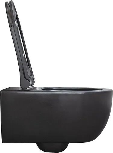 Унитаз подвесной безободковый Allen Brau Priority антрацит 4.31001.AN