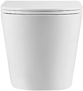 Унитаз подвесной безободковый Terminus Классик S белый 02SW51x35W Унитаз подвесной безободковый Terminus Классик S белый 02SW51x35W, 4