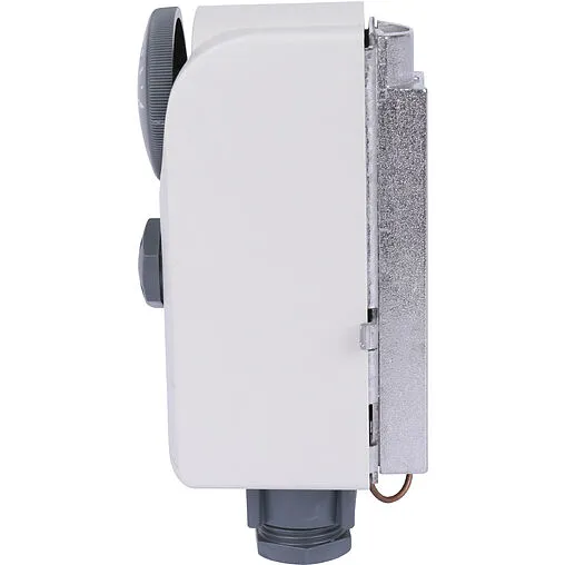 Механический термостат накладной WATTS WTC-ES IP40 10025518