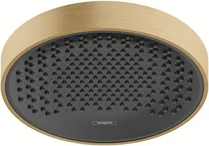 Лейка верхнего душа Hansgrohe Rainfinity 360 1jet шлифованная бронза/графит 26231140 Лейка верхнего душа Hansgrohe Rainfinity 360 1jet шлифованная бронза/графит 26231140, 1