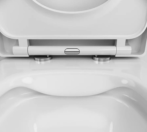 Унитаз подвесной безободковый Damixa Palace Grand белый 461700SC