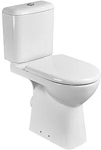 Чаша унитаза Roca Access белый ZRU9307684 Чаша унитаза Roca Access белый ZRU9307684, 1