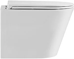 Унитаз подвесной безободковый Terminus Классик S белый 02SW51x35W Унитаз подвесной безободковый Terminus Классик S белый 02SW51x35W, 5