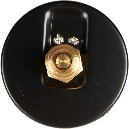 Термоманометр аксиальный Rommer 80мм 10 бар 120°С ½&quot; RIM-0005-801015