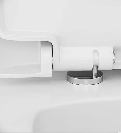 Унитаз-компакт Am.Pm Like белый C808607SC