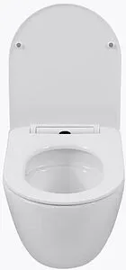 Унитаз подвесной безободковый Aquanet Cetus 3.0 W SHORT Tornado белый Cetus 3.0 W SHORT T Унитаз подвесной безободковый Aquanet Cetus 3.0 W SHORT Tornado белый Cetus 3.0 W SHORT T, 5