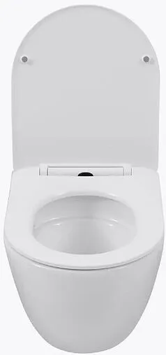 Унитаз подвесной безободковый Aquanet Cetus 3.0 W SHORT Tornado белый Cetus 3.0 W SHORT T