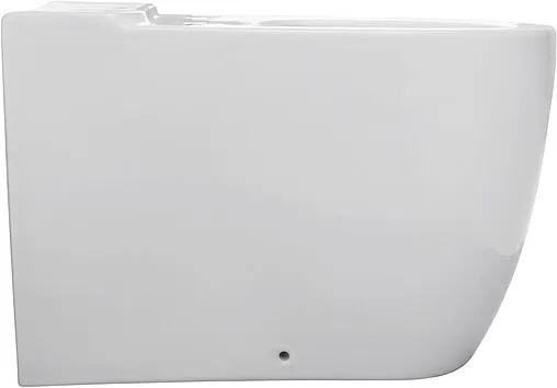 Унитаз-компакт безободковый Allen Brau Priority белый 4.31003.20+4.XX000.20