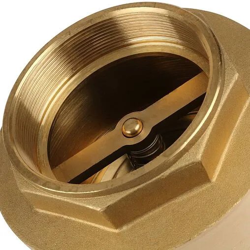 Клапан обратный пружинный 4"в x 4"в Itap Europa 1000400