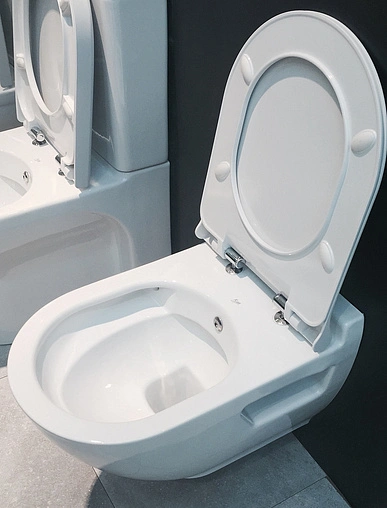 Унитаз подвесной безободковый с функцией биде Bien Harmony белый ...