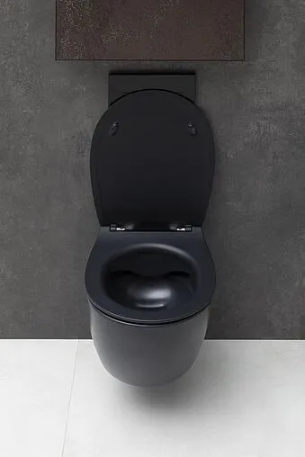 Унитаз подвесной безободковый Allen Brau Fantasy черный матовый 4.11004.31