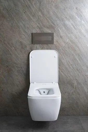 Унитаз подвесной безободковый с функцией биде и встроенным смесителем Allen Brau Liberty белый 4.33009.20