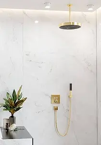 Лейка ручного душа Hansgrohe Rainfinity 100 1jet EcoSmart полированное золото/графит 26867990, 3