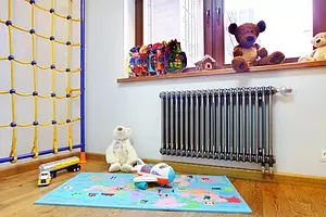 Радиатор стальной трубчатый Zehnder Charleston Completto 3057/20 V001½" TL 0325 Радиатор стальной трубчатый Zehnder Charleston Completto 3057/20 V001½" TL 0325, 5