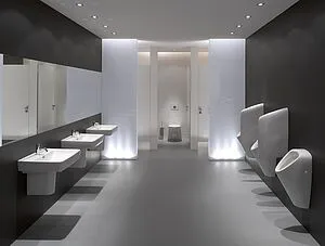 Перегородка для писсуара Laufen Rion белый 8.4760.0.000.000.1, 5