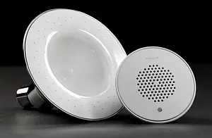 Лейка верхнего душа Jacob Delafon Moxie хром/белый E9245-CP, 5