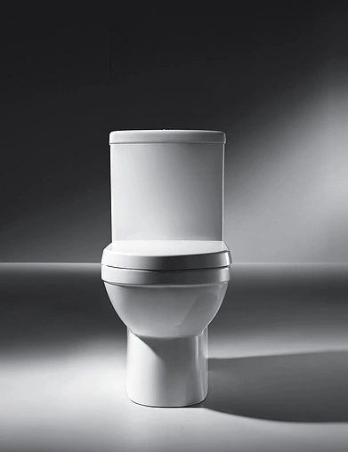 Унитаз-компакт Bravat New Moon белый CX01014UW