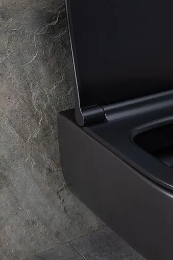 Унитаз подвесной безободковый Allen Brau Priority черный матовый 4.31001.31