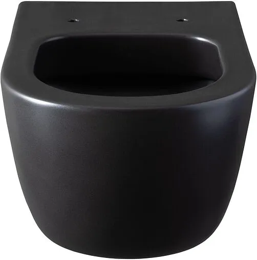 Унитаз подвесной безободковый Allen Brau Priority черный матовый 4.31001.31